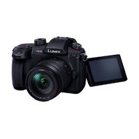 パナソニック DC-GH5M2H デジタル一眼カメラ・高倍率ズーム