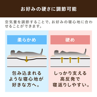 アイリスオーヤマ EAB-D 電動エアーベッド ダブル サイズ|エディオン