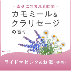 アース製薬 アーユルタイム ハピネスデイ 分包 40ｇ FCK666C-イメージ6