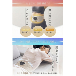 RELAGE RELAGE EMS InnerCare Flex グレージュ RL-CF-EICF10-GE-イメージ12