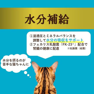 アイシア i CARE 水分補給 かつおペースト 35g FCE000L-IC-2-イメージ4