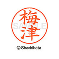 シヤチハタ ネームペン用ネーム シルバー 既製 梅津 FC46167-X-GPS-0396