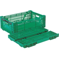 岐阜プラスチック工業 リス/RSコンテナーRS-MM38S(薄型折りたたみコンテナーワンタッチ) 緑 FC645GY-8362407
