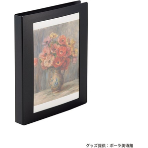 リヒトラブ Collel ポストカードアルバム A6 ホワイト FC620TB-N467-0-イメージ2