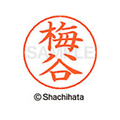 シヤチハタ ネームペン用ネーム シルバー 既製 梅谷 FC46168-X-GPS-0397