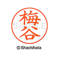 シヤチハタ ネームペン用ネーム シルバー 既製 梅谷 FC46168-X-GPS-0397