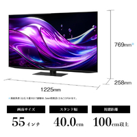 シャープ 4T-C55HS1 55V型4Kチューナー内蔵4K対応有機ELテレビ AQUOS