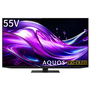 シャープ 55V型4Kチューナー内蔵4K対応有機ELテレビ AQUOS QD-OLED 4T-C55HS1-イメージ19