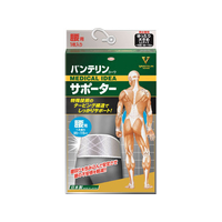 興和 バンテリンコーワサポーター 腰用 シャイニンググレー LL FC59146