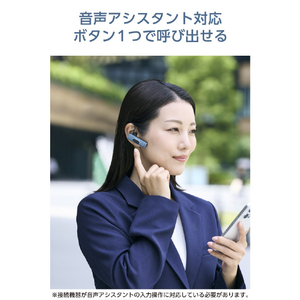 エレコム Bluetooth(R)ワイヤレスヘッドセット USB Type-C(TM)ポート搭載 ブルー LBT-HSC11MPBU-イメージ7