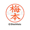 シヤチハタ ネームペン用ネーム シルバー 既製 梅本 FC46171-X-GPS-0400