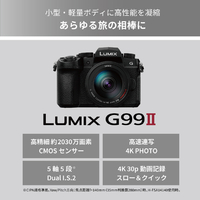 パナソニック DC-G99M2H デジタル一眼カメラ・レンズキット