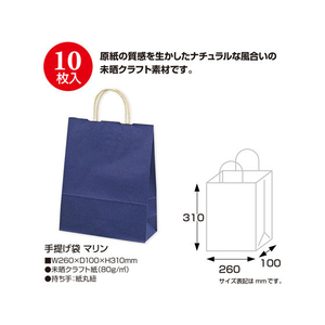 タカ印 手提げバッグ マリン 小 10枚 FC24878-50-6107-イメージ2
