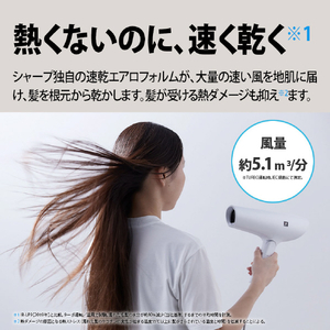 シャープ プラズマクラスタードライヤー Plasmacluster Beauty ホワイト系ルミナスホワイト IB-P601-W-イメージ14