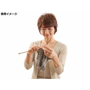 Ｈａｚｕｋｉ ハズキルーペ ラージ カラーレンズ1.85倍 チタン F038060-イメージ7