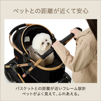 oseki　ジノリミュージオクラシコ GEX OSOTOGRACERCﾉﾜ-ﾙ OSOTO GRACE RC ノワール|エディオン公式通販