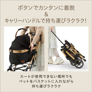 GEX OSOTO GRACE RC ノワール OSOTOGRACERCﾉﾜ-ﾙ-イメージ5
