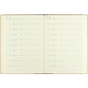 デザインフィル 日記 10年連用 洋風 F207926-12109001-イメージ4