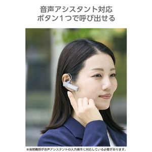 エレコム Bluetooth(R)ワイヤレスヘッドセット USB Type-C(TM)ポート搭載 グレー LBT-HSC21MPGY-イメージ7
