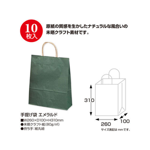 タカ印 手提げバッグ エメラルド 小 10枚 FC24882-50-6108-イメージ2