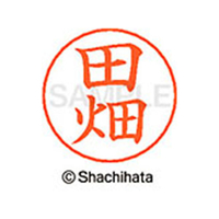 シヤチハタ ネームペン用ネーム シルバー 既製 田畑 FC47165-X-GPS-1394