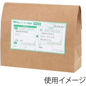 ヘイコー 宅配袋 Eタイプ 未晒無地 S 50枚 FCE509U-4192620-イメージ3
