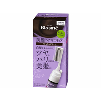 KAO ブローネヘアマニキュア ナチュラルブラック クシ付 F926682
