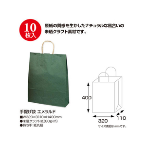 タカ印 手提げバッグ エメラルド 大 10枚 FC24884-50-6308-イメージ2