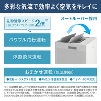 ダイキン MCK904AE3-W 加湿空気清浄機 e angle select 加湿ストリーマ