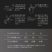 ring様　ご確認用 ZR-V スカッフプレート サイド ステップ RZ3 RZ4 RZ5 e:HEV X Z