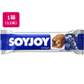 大塚製薬 SOYJOY(ソイジョイ) ブルーベリー 12本 1箱(12本) F890925