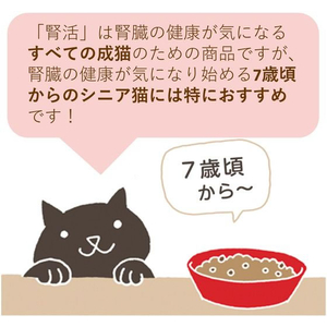 アイシア 腎活 まぐろペースト 40g FCE013L-JK-1-イメージ4
