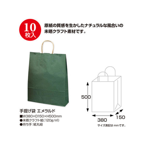 タカ印 手提げバッグ エメラルド 特大 10枚 FC24885-50-6408-イメージ2