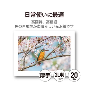 エレコム 写真用光沢紙 厚手 2L判 20枚 FC263PX-EJK-HQ2L20-イメージ2