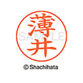 シヤチハタ ネームペン用ネーム シルバー 既製 薄井 FC46183-X-GPS-0412