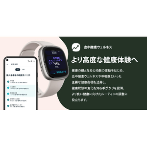 Fitbit スマートウォッチ L/Sサイズ Sense 2 Shadow Grey/Graphite FB521BKGB-FRCJK-イメージ13