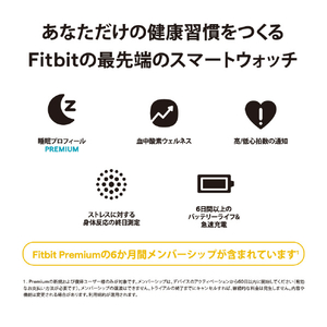 Fitbit スマートウォッチ L/Sサイズ Sense 2 Shadow Grey/Graphite FB521BKGB-FRCJK-イメージ2