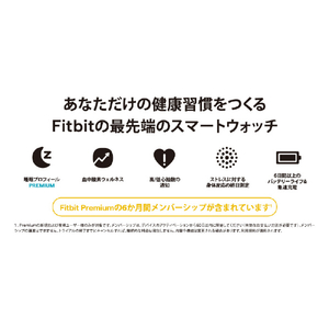 Fitbit スマートウォッチ L/Sサイズ Sense 2 Shadow Grey/Graphite FB521BKGB-FRCJK-イメージ9