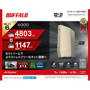 バッファロー 無線LAN親機11ax/ac/n/a/g/b 4803+1147Mbps シャンパンゴールド WSR6000AX8PCG-イメージ11