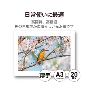 エレコム 写真用光沢紙 厚手 A3 20枚 FC265PX-EJK-HQA320-イメージ2