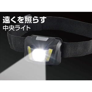朝日電器（ＥＬＰＡ） ELPA LEDヘッドライト FC429NM-DOP-HD701-イメージ4