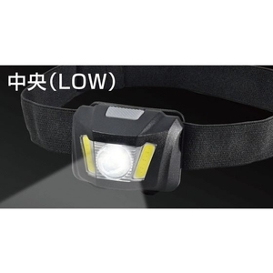 朝日電器（ＥＬＰＡ） ELPA LEDヘッドライト FC429NM-DOP-HD701-イメージ8