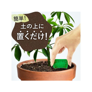アース製薬 BotaNice コバエ退治 置くだけ粘着剤 12個入 FC191PZ-イメージ3