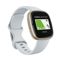 Fitbit スマートウォッチ L/Sサイズ Sense 2 Blue Mist/Pale Gold FB521GLBMFRCJK