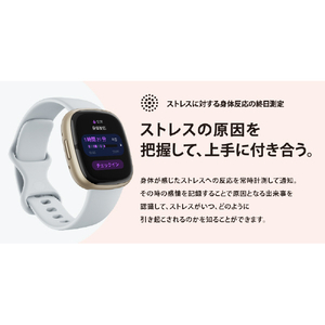 Fitbit スマートウォッチ L/Sサイズ Sense 2 Blue Mist/Pale Gold FB521GLBM-FRCJK-イメージ11