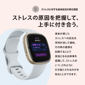 Fitbit スマートウォッチ L/Sサイズ Sense 2 Blue Mist/Pale Gold FB521GLBM-FRCJK-イメージ3