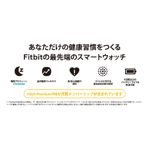 Fitbit スマートウォッチ L/Sサイズ Sense 2 Blue Mist/Pale Gold FB521GLBM-FRCJK-イメージ9