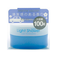ダイヤケミカル ライトシャワー マリンスカッシュ 100g FC79209-17734