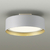 ダイコウデンキ LED廊下灯 ペールグレー(電球色) DXL-81484C-イメージ1
