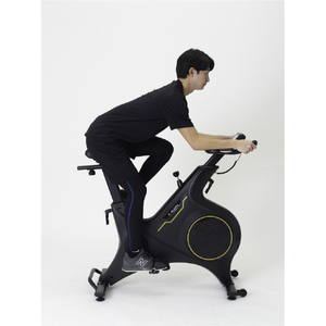 アルインコ スピンバイク1621 ALINCO FITNESS ブラック BK1621-イメージ11